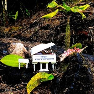 🐣🎹🎶🎵 Music Box White Baby Grand Piano Unknown Melody Tune for Dolls or Decor